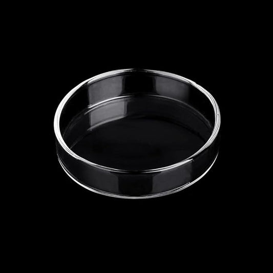 Aquarium Glass Feeder Dish Shrimp Feeding Dish Round Clear Glass Fish Feeder Bowl Fish Tank Food Tray Container Prevent Food Spilling, 65mm