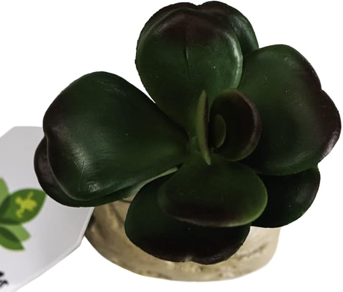 Josh's Frogs Arid Artificial Plants for Reptiles (Jade Succulent)