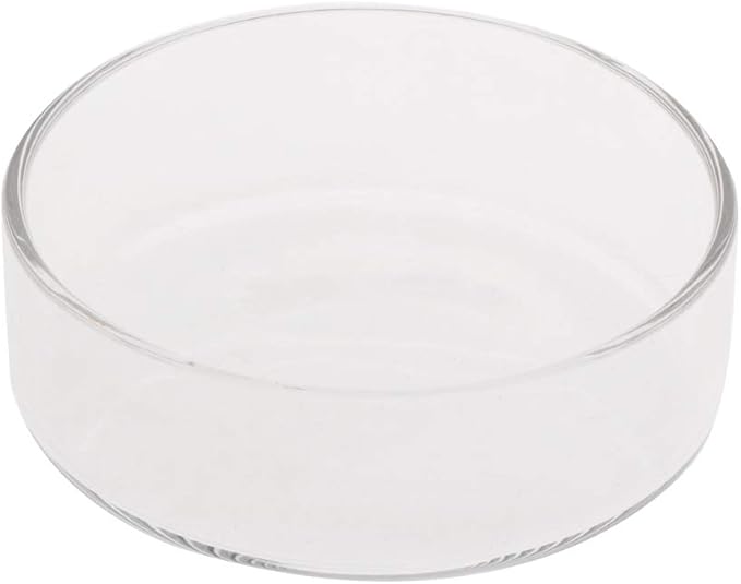Fish Tank Feeding Bowl Dish Tray Feeder Aquarium Shrimp Glass - A