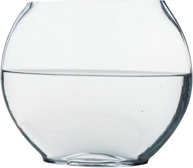 Multi-Function Glass Fish .84 Inch Transparent Aquarium Bowl with Fish Accessories for Home Desktop Office Decor