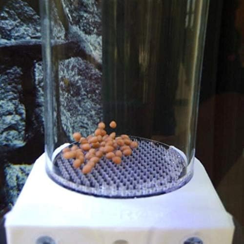 Fish Hatchery Incubator Acrylic Aquarium Cichlids Egg Tumbler Nursery Mouth-Brooding Aquatic Pet Hatching Breeder Fish Hatch Tool