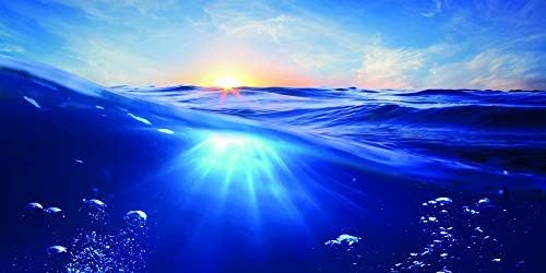 Ocean Water Aquarium Background Poster Fish Tank Landscape Decorations Sticker Customization (72" x 30"/ 183 x 76cm)