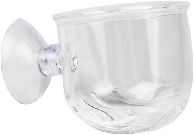 BESPORTBLE 2-piece Glass Feeding Cup for Fresh Saltwater Aquariums Fish Feeder Suction Cup Ideal for Brine Shrimp Eggs Aquarium Equipment Supplies Size s