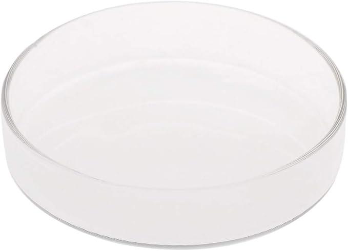 Aquarium Fish Tank Shrimp Feeding Food Dish Bowl Feeder Tray Container Glass Shrimp Feeding Dish for Shrimp Food (9cm/3.54in)