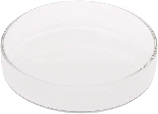 Aquarium Fish Tank Shrimp Feeding Food Dish Bowl Feeder Tray Container Glass Shrimp Feeding Dish for Shrimp Food (9cm/3.54in)
