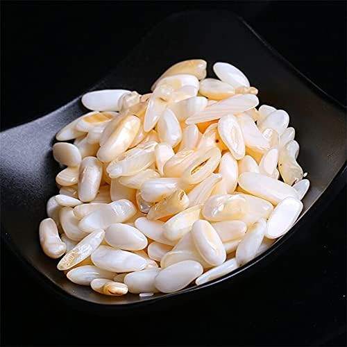 50/100g Natural Stones Gravel Crystals Chip Quartz Minerals Reiki Healing Tumbled Agates Specimen Gemstones Home Aquarium Decor (Color : White Conch, Size : 50g)