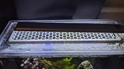 Slot Cover for Fluval Spec 5 Gallon Fish Tank - Black - Fish/Pet Proof - Screen Compatible