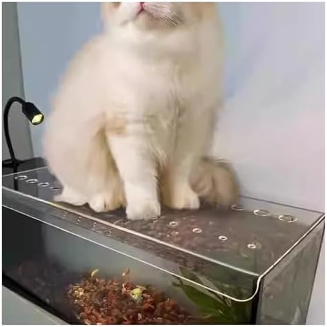 Cat-Proof Fish Tank Lid, Custom Acrylic Cover with Air Holes, Cuttable Design to Prevent Fish Jumping, Ideal for Cat Owners, Keeps Fish Safe from Pets