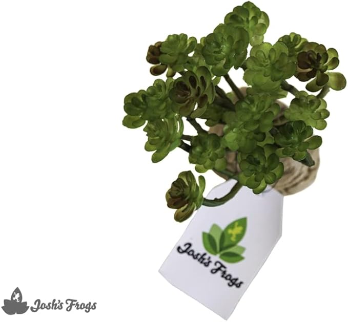 Josh's Frogs Arid Artificial Plants for Reptiles (Succulent Bunch)