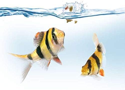 Juwel Automatic Feeder Inc Batteries for fish aquarium