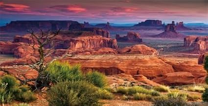 24X12IN Desert Loess Rock Cactus Oasis Reptile Habitat Background, Natural Sunset Desert Themed Terrarium Background, Aquarium Background with 10 EVA Double-Sided Tape