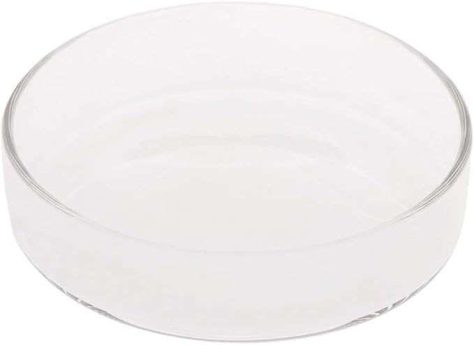 Youngy Arrival Fish Tank Feeder Aquarium Shrimp Glass Feeding Bowl Dish Tray 6 Size - D