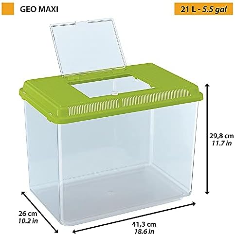 GEO MAXI / Acid green