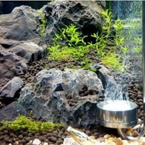 TOPINCN CO2 Diffuser, Stainless Steel CO2 Atomizer Bubble Counter with U Shape Connecting Tube co2 Diffuser for Aquarium Plants Water Grass(35cm)