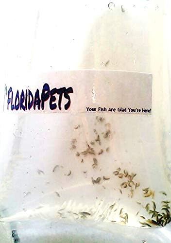FloridaPets Live Amphipods 200+ Aquarium Fish Food Over 200 Pods