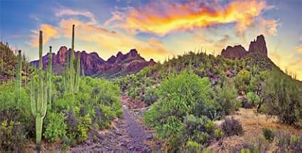 Reptile Habitat Background Rock Blue Sky Oasis Cactus Sunset Desert Terrarium Background 36X24IN with 8 EVA Double-Sided Tape