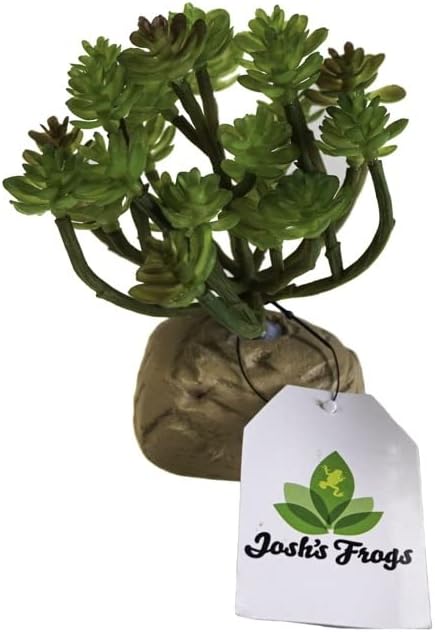 Josh's Frogs Arid Artificial Plants for Reptiles (Succulent Bunch)