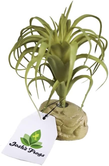 Josh's Frogs Arid Artificial Plants for Reptiles (Tillandsia)