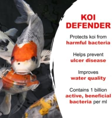 Koi Defender (32oz)
