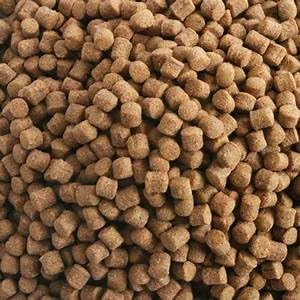 Hikari (2 Pack) 17.6-Ounce Sinking Wheat Germ Pellets for Pets, Medium