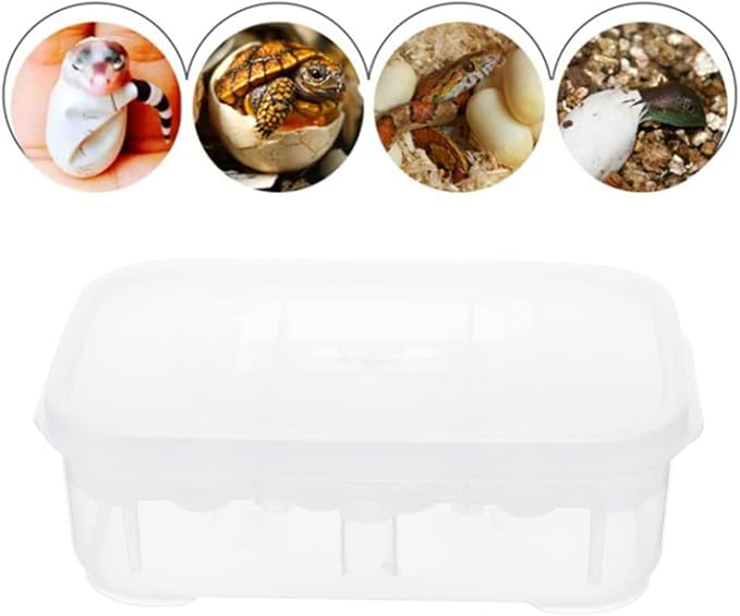 3pcs Box Container Hatching Reptile Lizards Lizard Breeding Snake for Tray Gecko Hatchery Feeding Hatcher Transparent Reptiles Eggs -Layer Grids Incubation Drawer Incubator