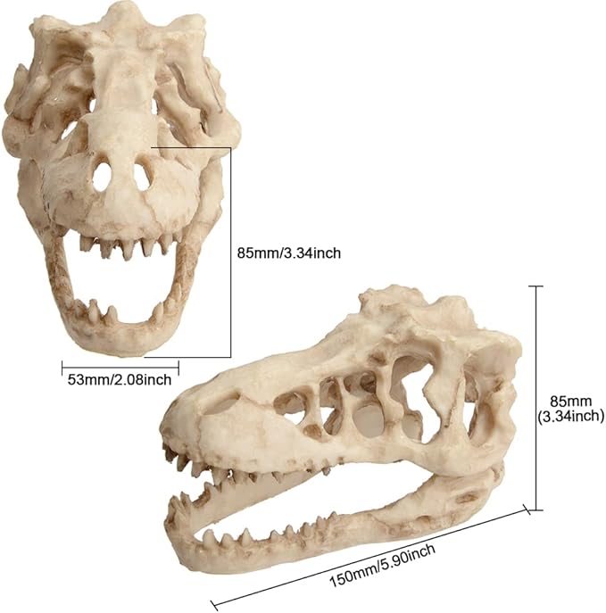 Fish Tank Decorations Dinosaur Skull Decor Resin Aquarium Decoration Accessories for Small Betta Fish, Hermit Crab Hideout Caves, Reptile House Ornament