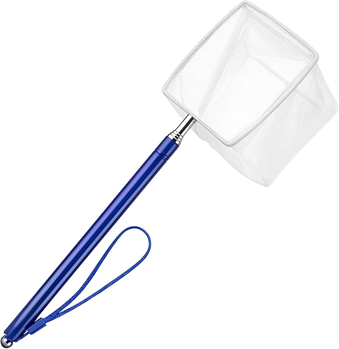 3 Inch Fine Mesh Shrimp Net, Tiny Fish Net for Shrimp Baby, Long Handle Small Fishes Tank Tool for Bettas, Extendable Stainless Steel Handle, Small Tank & Pond Cleaning Nets