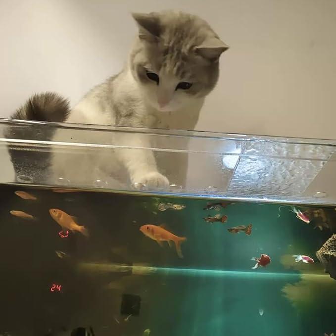 Rygcrud Transparent Acrylic Tank Lid with Air Hole, Aquarium Hood Fish Tank Top Cover Cuttable for Cat & Jumping Proof(60x40x3cm)
