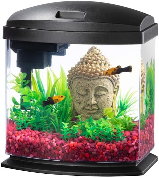 Aqueon 00800196: Aquarium Kit Mini Bow Led Blk 1G