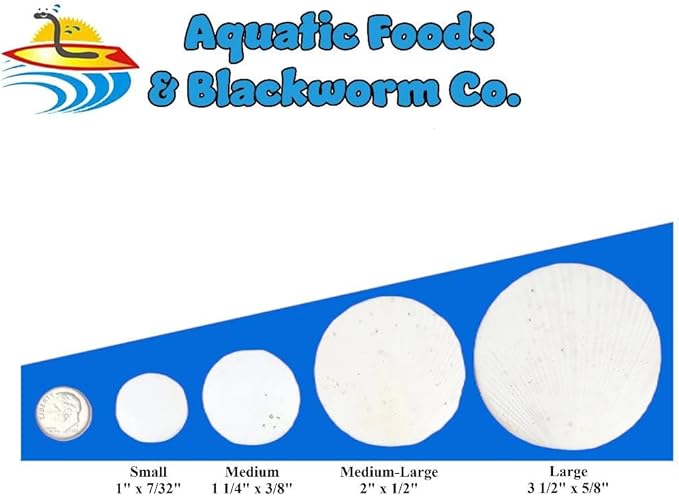Calcium Enriched Sinking Feeder Disks and Holiday Feeding Food for Shrimp, Snails, Crabs, Crayfish, Hermit Crabs, Plecos, Catfish, All Tropical Fish. 100 Small Discs Small Jar