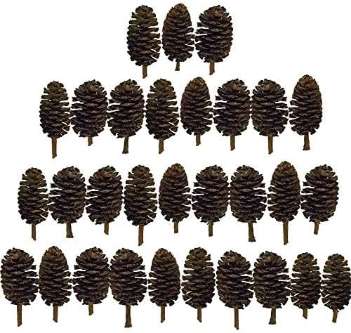 JOR 30 Pack Alder Pine Cones, Aquarium Decor Benefits Shrimp and Tropical Fish, Lower pH, Softens Water, Foraging Chew Treat for Parrots & Guinea Pig