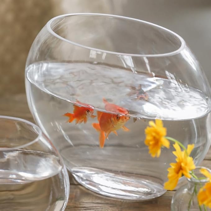 Multi-Function Glass Fish .84 Inch Transparent Aquarium Bowl with Fish Accessories for Home Desktop Office Decor