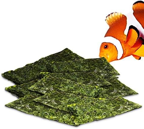 JOR 20 Seaweed Sheets for Tangs, Angels, Plecos, Shrimp, Snails, Nutrient- & Vitamin-Rich, Dried Snack for Bottom Feeders, Increased Palatability for Grazing Fish, 1 oz. Pet Feed