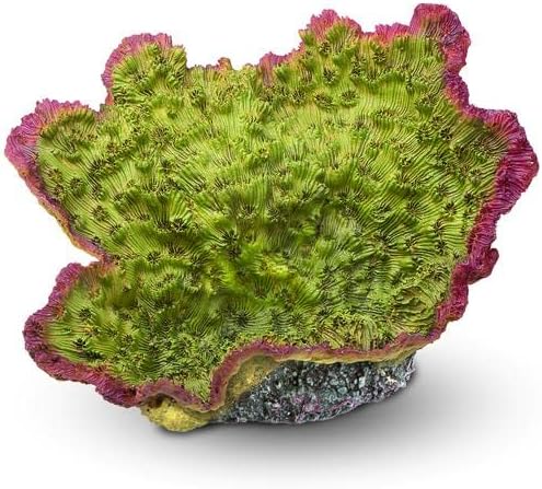 Aquatop Aquatic Supplies CD-04GRM Coral Decor, Green/Purple