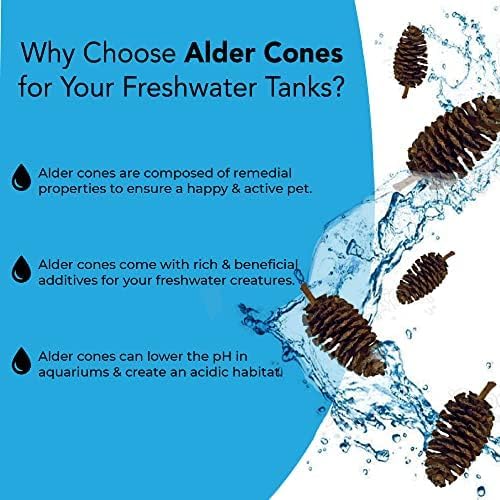 JOR 30 Pack Alder Pine Cones, Aquarium Decor Benefits Shrimp and Tropical Fish, Lower pH, Softens Water, Foraging Chew Treat for Parrots & Guinea Pig