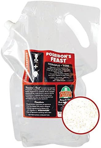 AlgaeBarn Poseidon's Feast :: Live Marine Copepods - 3000+ Tisbe & Tigriopus Pods for Mandarin & Finicky Fish (64oz)