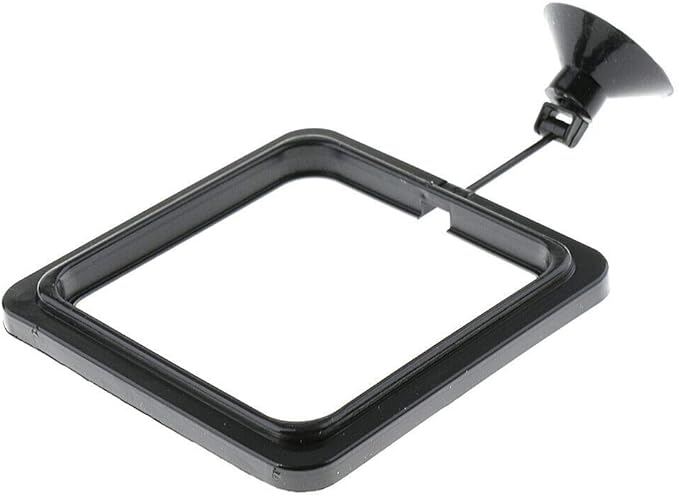BETTA Small Floating Feeding Ring for Aquariums & Fish Tanks with Strong Suction Cup to Keep Fish Food in Place