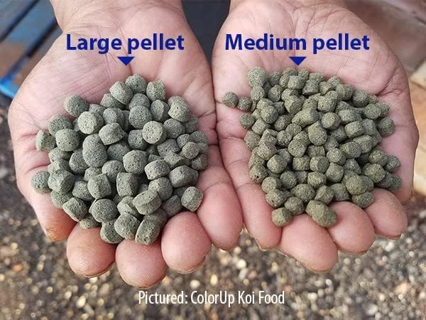 Color Up Spirulina Koi Food from Japan to Promote Growth & Color | 33lbs of Large/Floating Pellets