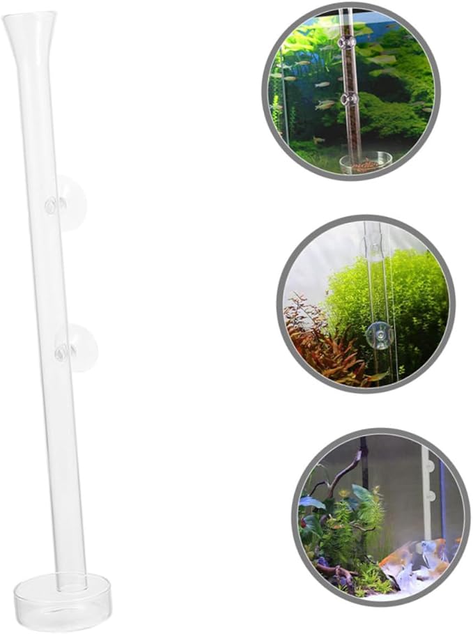 BESPORTBLE 1set Acrylic Fish and Shrimp Feeder Plate Easy Installation for Aquariums Diameter Height Safe for Fish Tanks