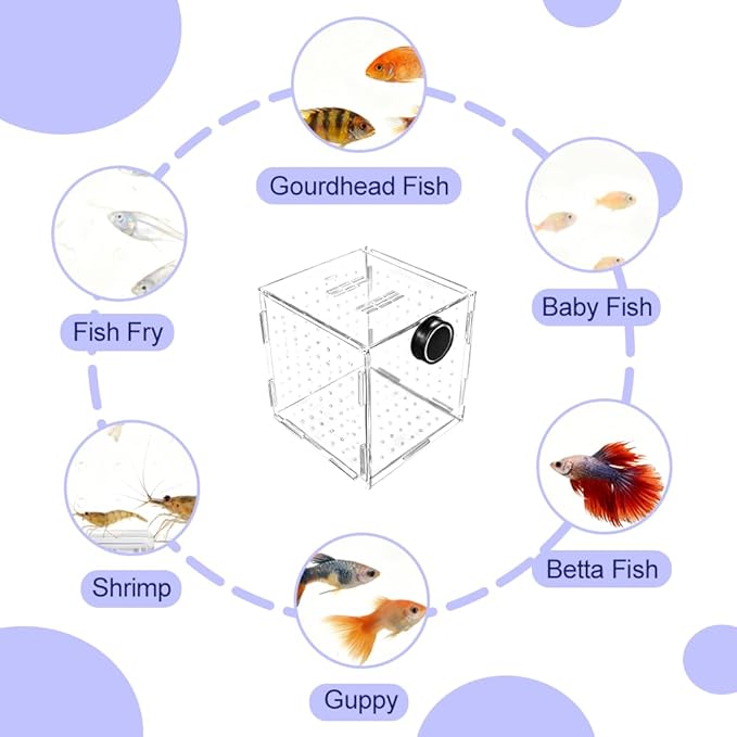 Fish Breeding Box, Acrylic Fish Isolation Container Aquariums Incubator with Magnetic Fixing for Fishes Shrimps