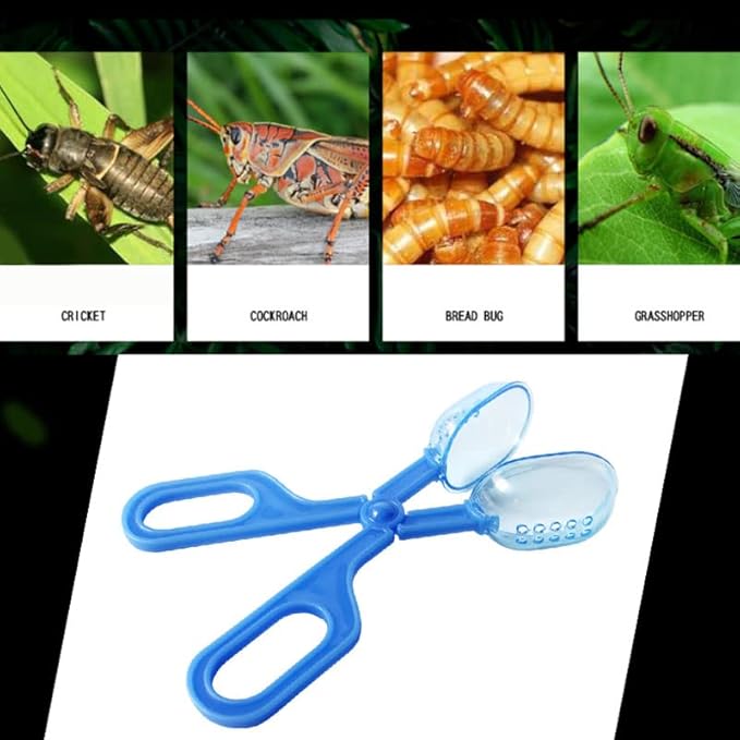Ximimark 3 pcs Classic Aquarium Litter Blue Clear Reptile Poop Clamp Tool Kit New