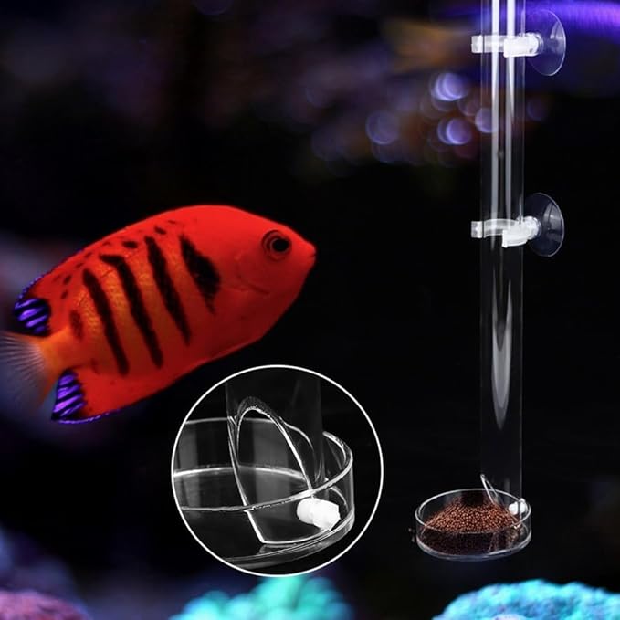 9.84inch Acrylic Aquarium Feeder with Tray Transparent Fish Tank Feeding Tube Leak-Proof Design with Suction Cups for Shrimp and Fish