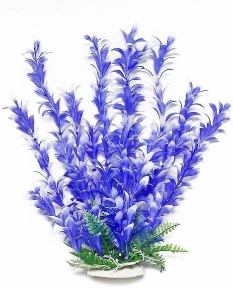BACOPA-Like Aquarium Plant Blue/White 9 INCH