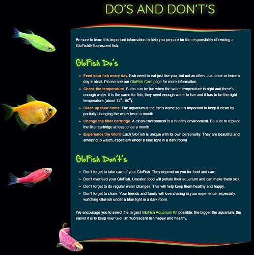 GloFish Aquarium Gravel, Pink/Green/Blue Mix, Complements GloFish Tanks, 5 Pounds