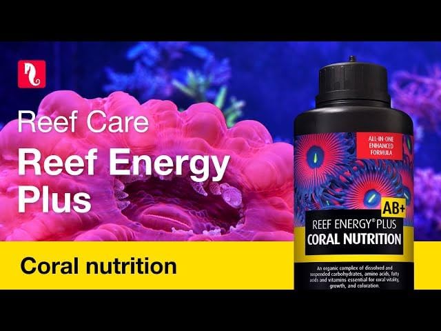 Red Sea Reef Energy Plus 250ml (AB+) All In One Coral Food for Saltwater Aquarium Marine Reef Tanks | Food for Soft, LPS, SPS, and Non-Photosynthetic Corals