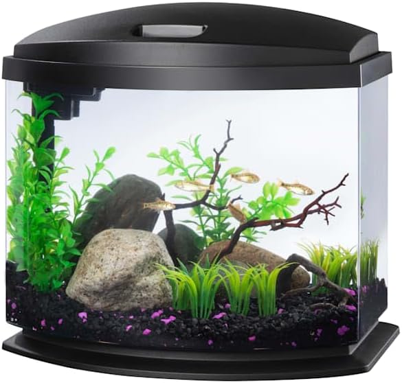 Aqueon 00800201: Aquarium Kit Mini Bow Led Blk 5G