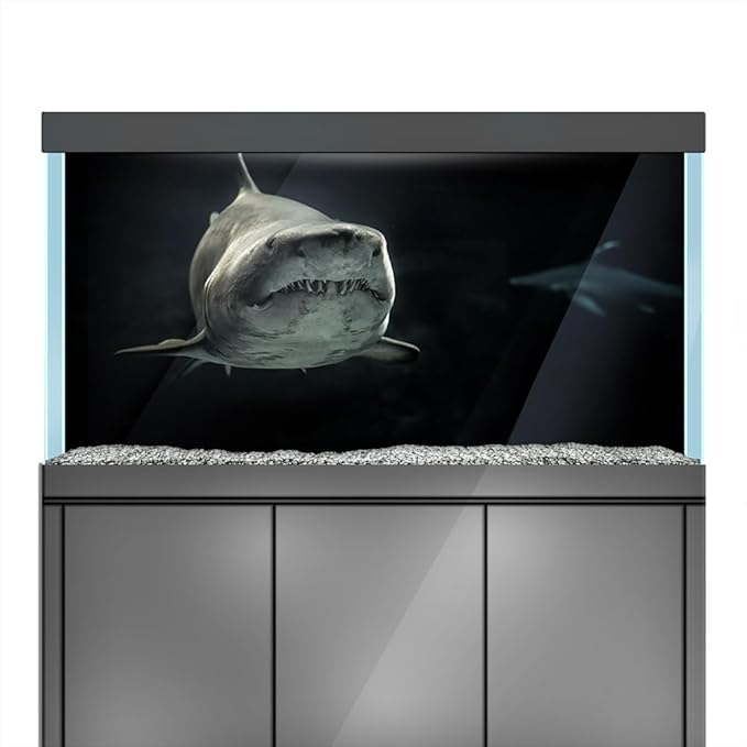 Aquarium Background Stickers - Shark Black Depth Ocean - Fish Tank Reptile Terrarium Decor Poster (90 x 60 cm / (35.4 x 23.6 inches))