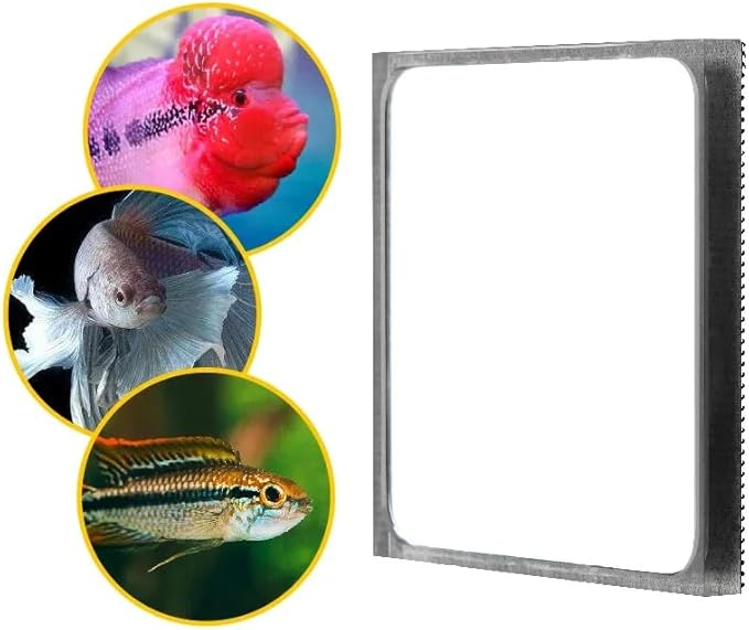Vastocean Multifunction Flower Magnetic Horn Fish Training Mirror