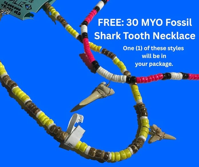 DINOSAURS ROCK® Rock & Mineral 7 Piece Collection with Bonus Genuine Fossil Shark Tooth Necklace - Gift Packaged in a velvet drawstring pouch