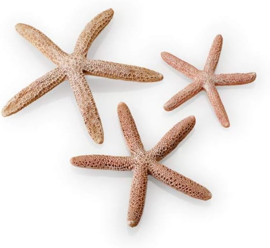 biOrb Starfish 3 Piece Set Natural